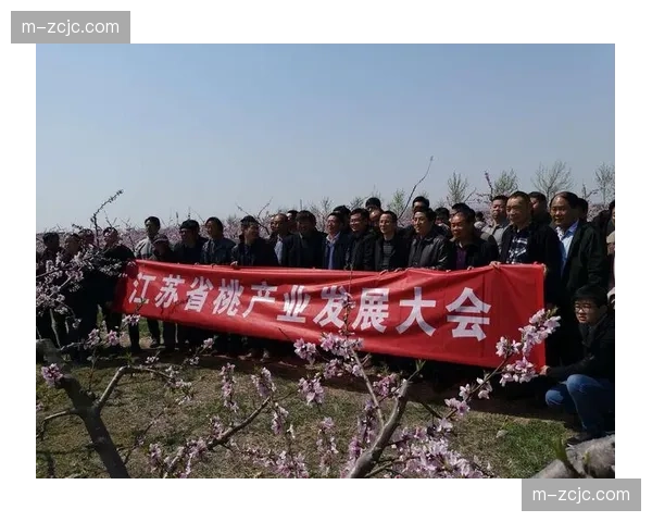 行业协会在此时期重塑准入标准体系 规范化引导经营主体质量